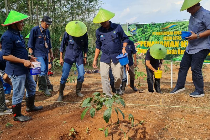 1656067020863189.jpg PTPN IX dukung swasembada kedelai nusantara.jpg