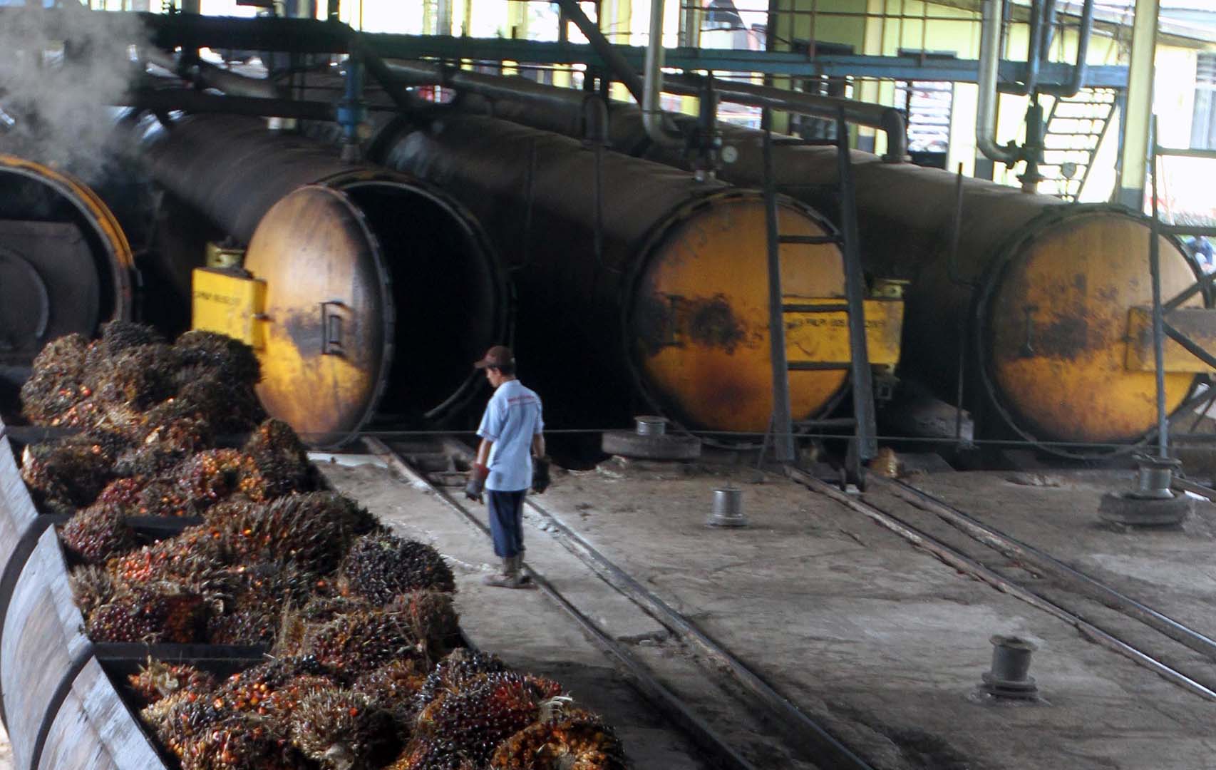 1658224464113769.jpg Kemenperin fokus hilirisasi industri kelapa sawit.jpg