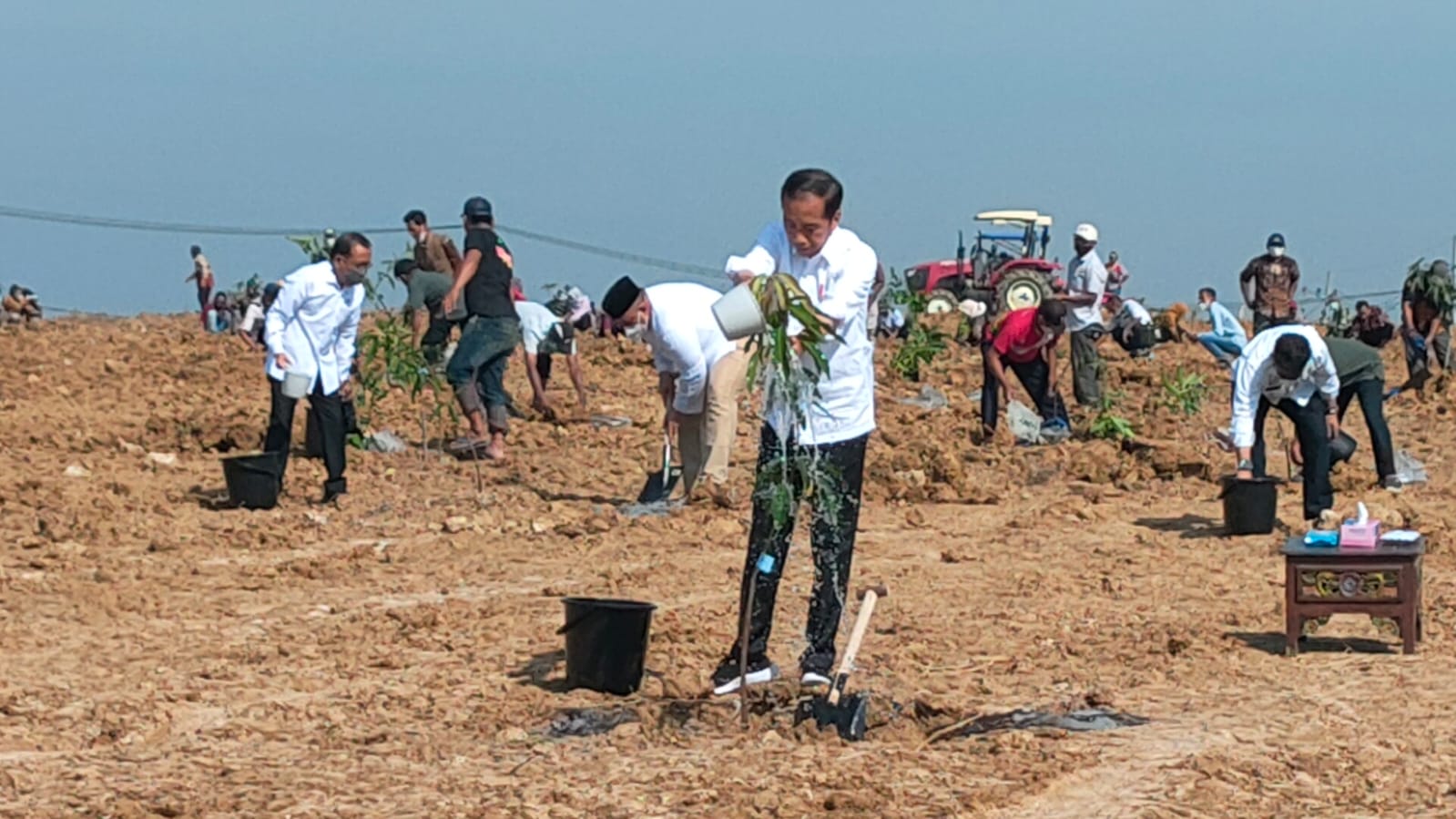 总统要求地方政府提供芒果产量来满足国内外需求
