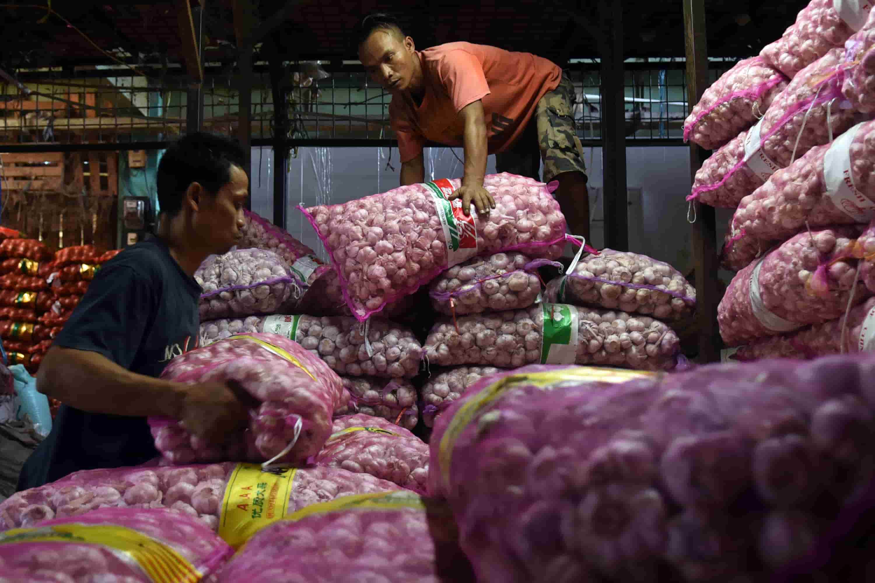 1662721632174652.jpg Pengamat Perlu kebijakan fleksibel terkait impor bawang putih.jpg