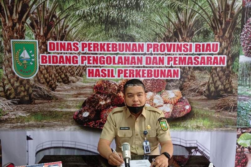 1663856296499114.jpg Harga CPO semakin kompetitif di Riau untungkan para petani.jpg