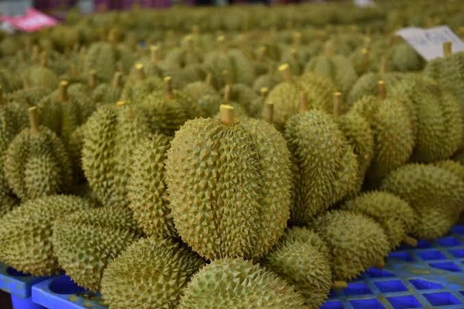 泰国水果首次通过中老铁路运往中国