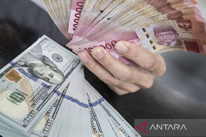 Indef经济学家纳维尔提醒 盾币汇率有风险超过2023年国家预算指标