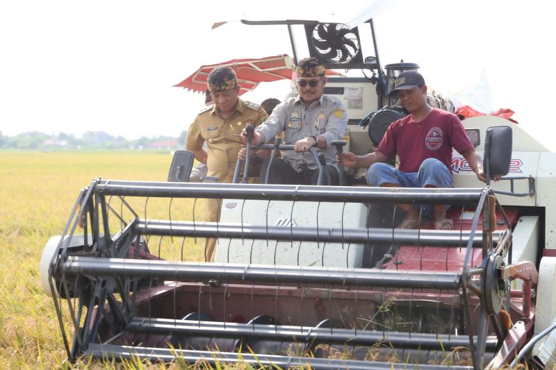 1673350597861238.jpg Mentan panen raya padi 8 ton per hektare di Karawang.jpg