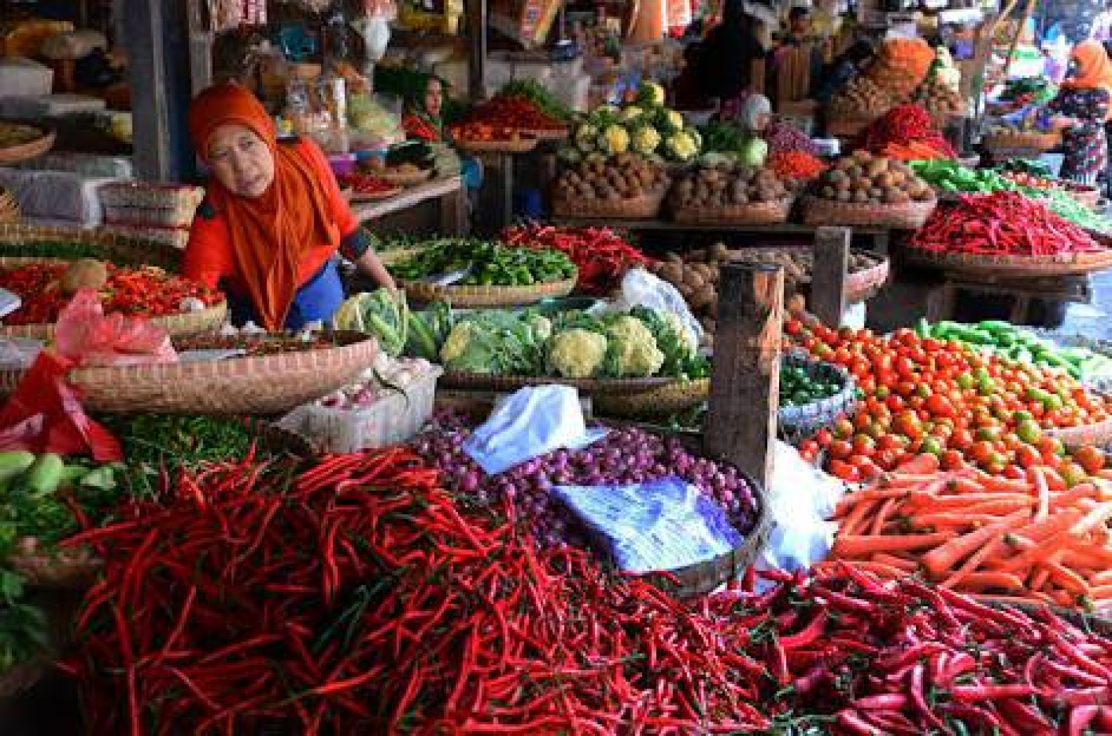1654587464528778.jpg Indef harga komoditas tinggi, permintaan masyarakat perlu dijaga.jpg