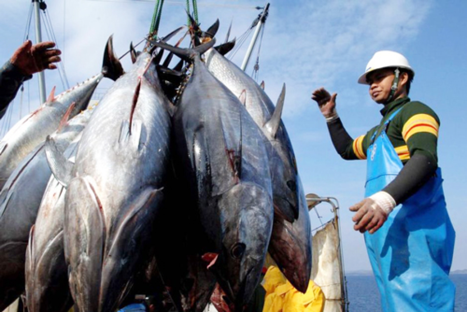 1654672137958374.jpg KKP targetkan produksi perikanan 30,37 juta ton pada RKAP 2023.jpg